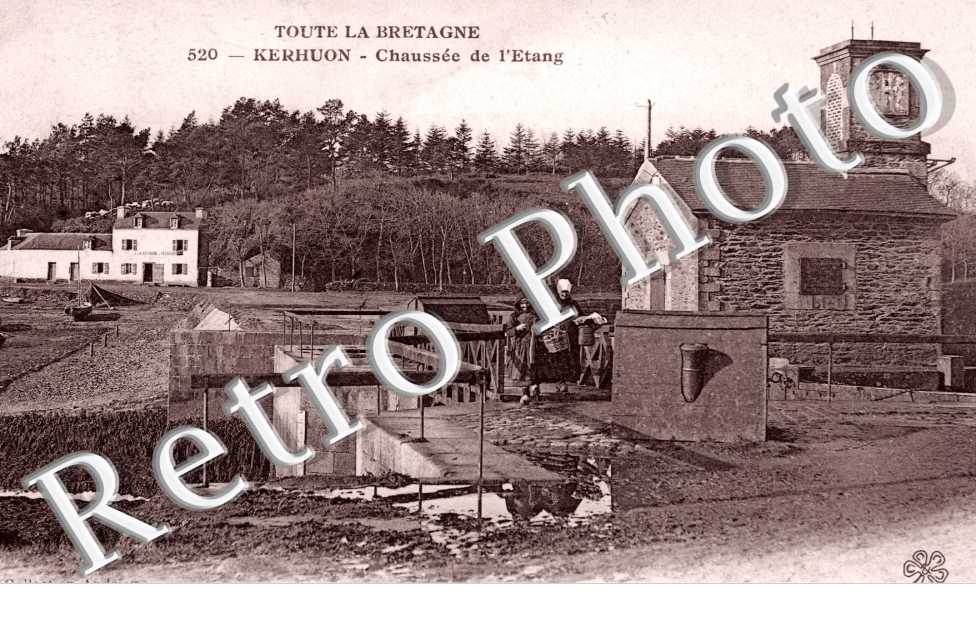 Chaussee de l'Etang