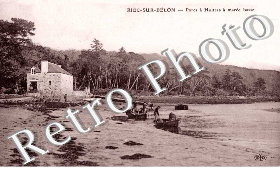 Parcs a huitres a maree basse