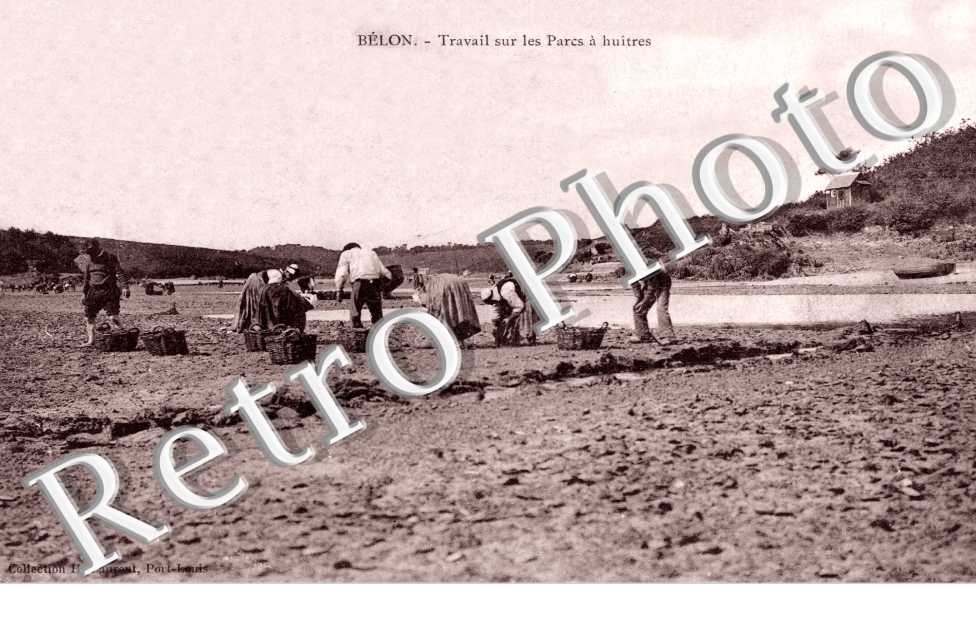 Travail sur les Parcs a huitres