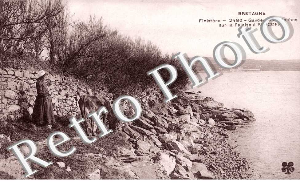 Gardeuse de Vaches sur la falaise