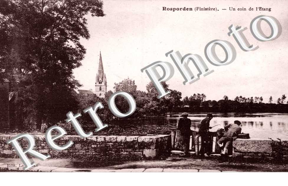 Un coin de l'etang