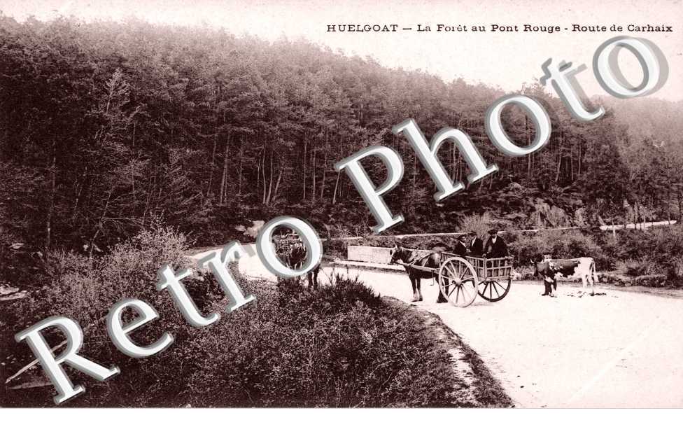 la Foret au Pont Rouge, Route de Carhaix