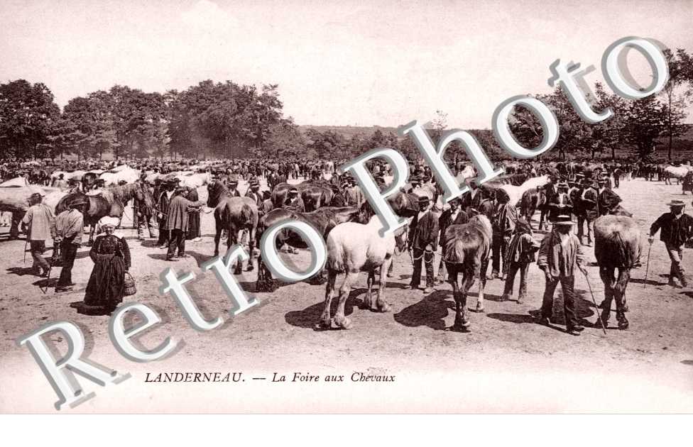 la foire aux chevaux