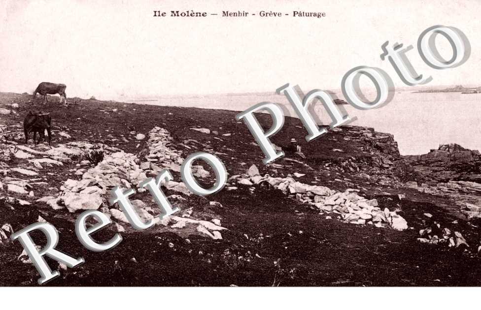 Menhir - greve - paturage
