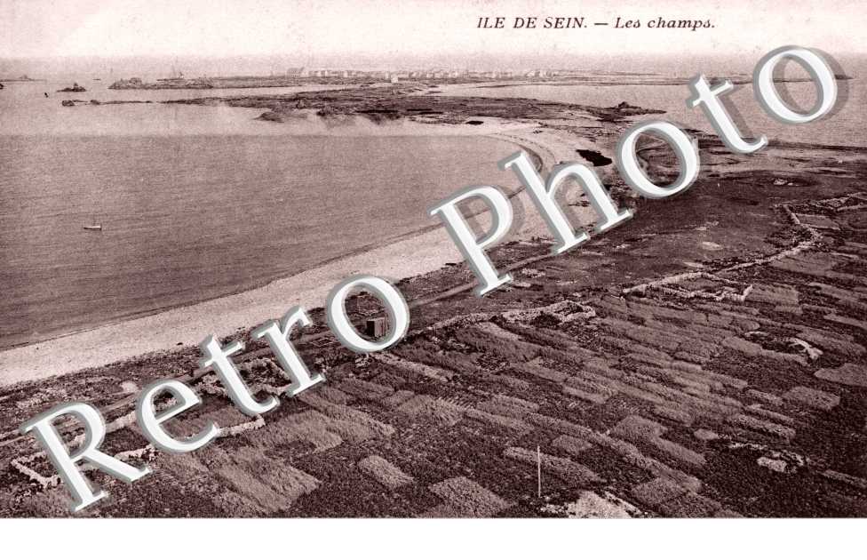Les Champs