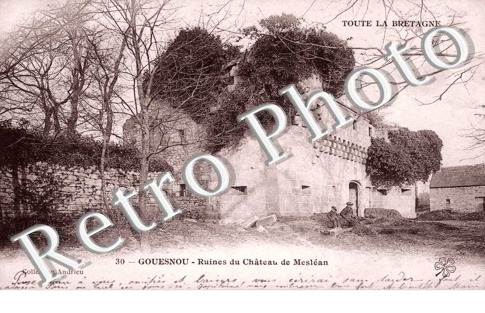 Ruines du Chateau de Meslean