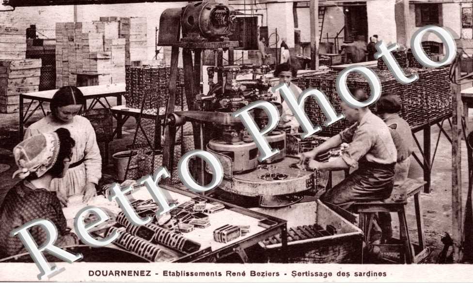 Sertissage des sardines