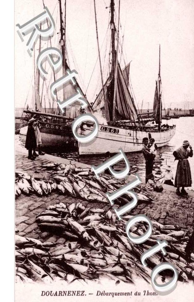 Le Débarquement du Thon