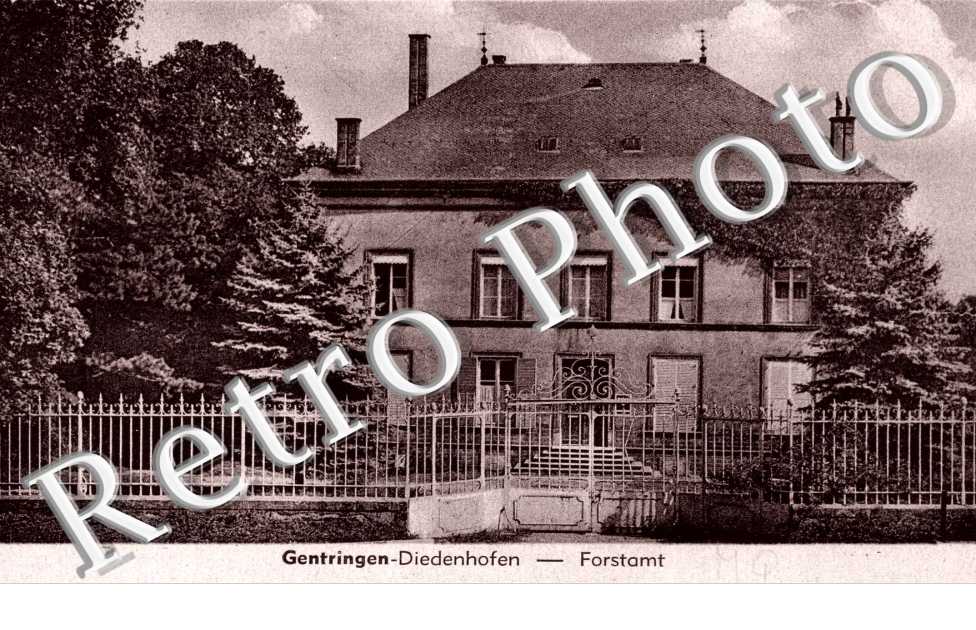 Forstamt (Chateau Bellevue)