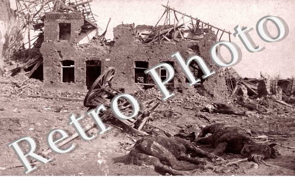 Maison en ruines et chevaux morts