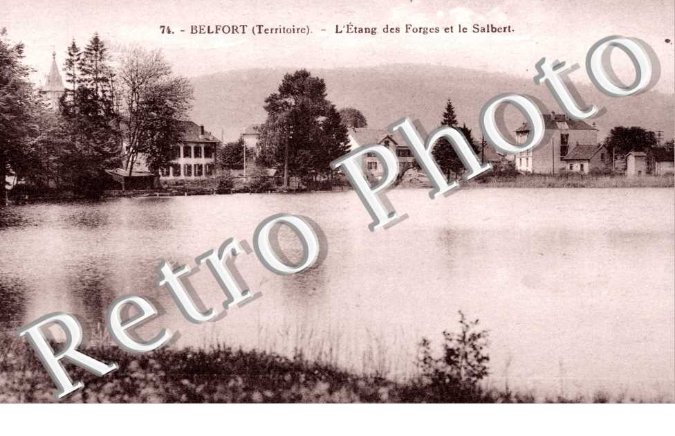L'Etang des Forges et le Salbert
