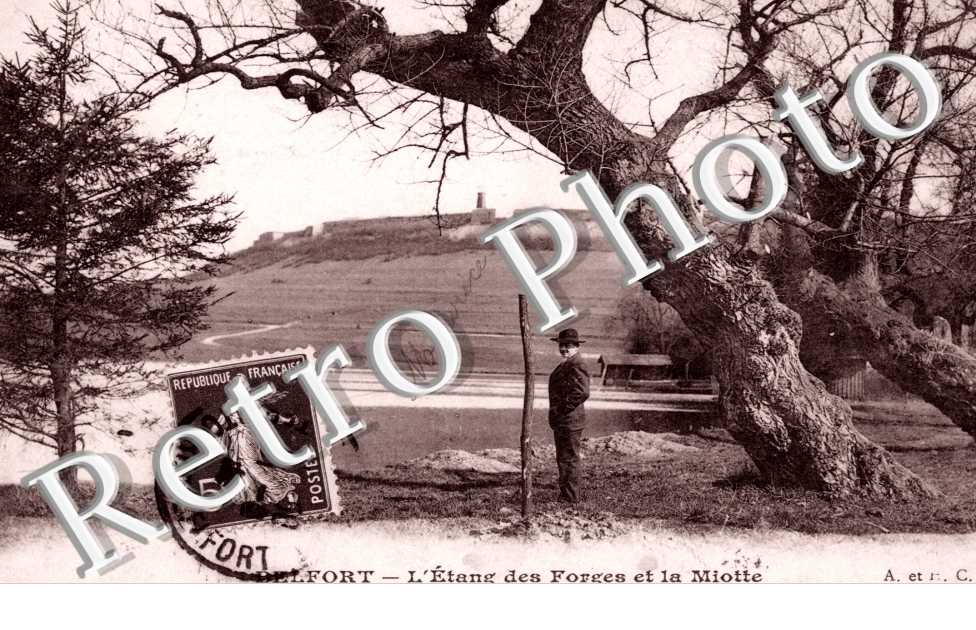L'Etang des Forges et la Miotte
