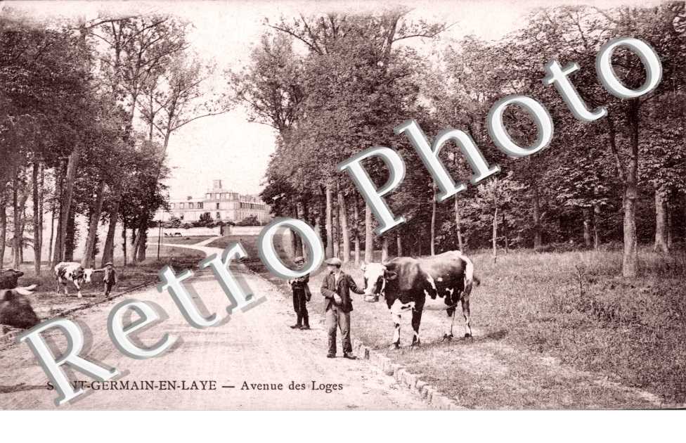 Avenue des Loges