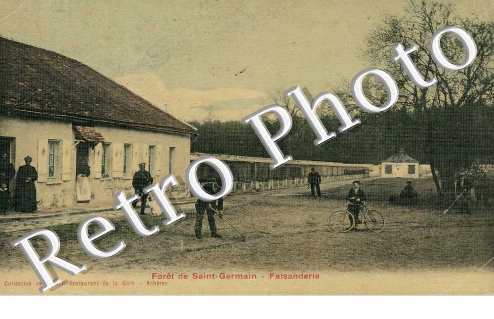 La Foret, Faisanderie