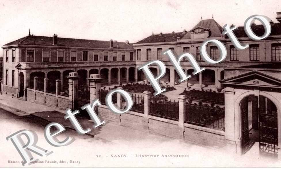 L'institut Anatomique