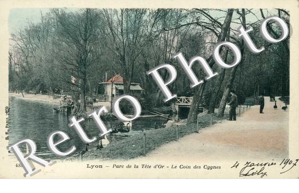 Le Parc de la Tete d'Or, le coin des Cygnes