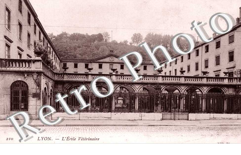 L'Ecole Veterinaire