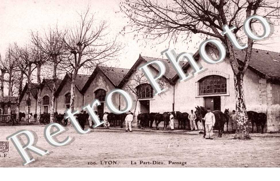 La Part-Dieu - Caserne - Pansage