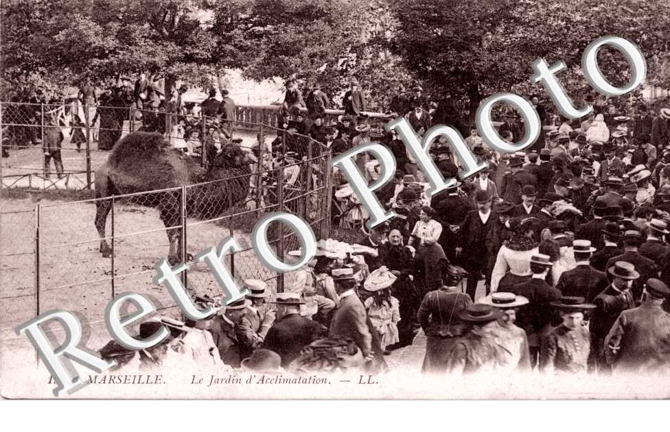 le jardin d'acclimatation