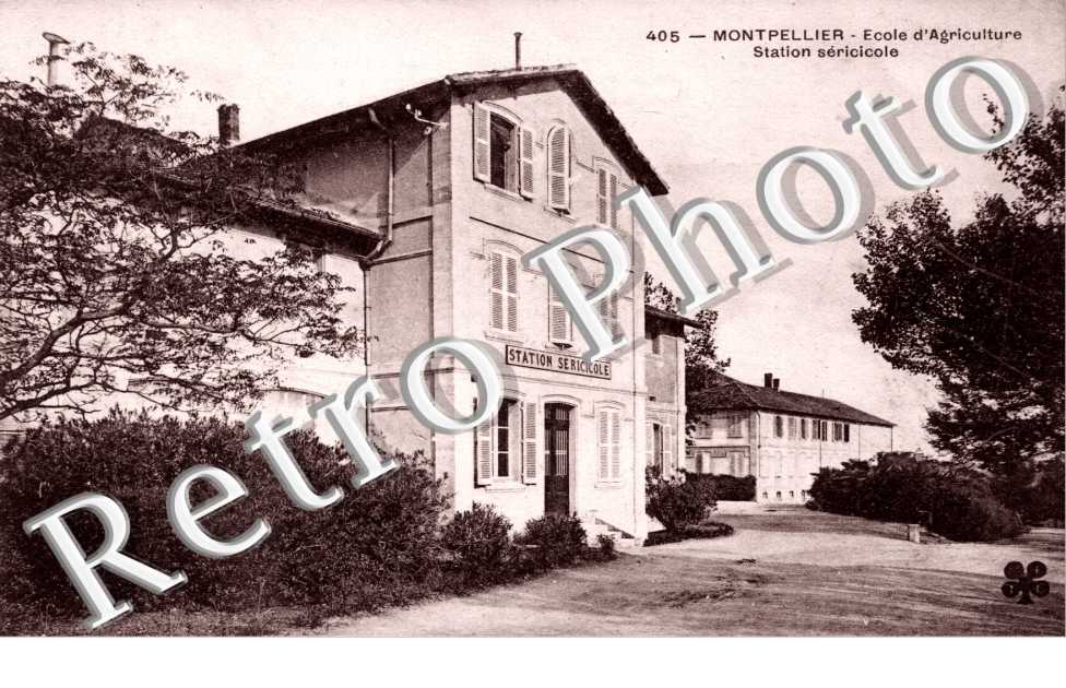 Ecole d'Agriculture - Stration Sericicole