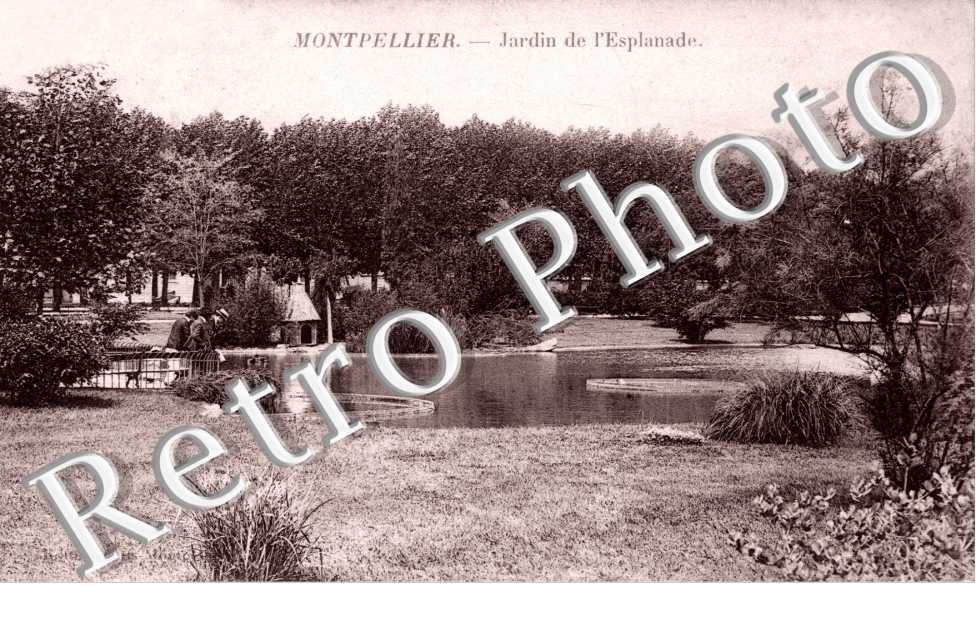 jardin de l'esplanade