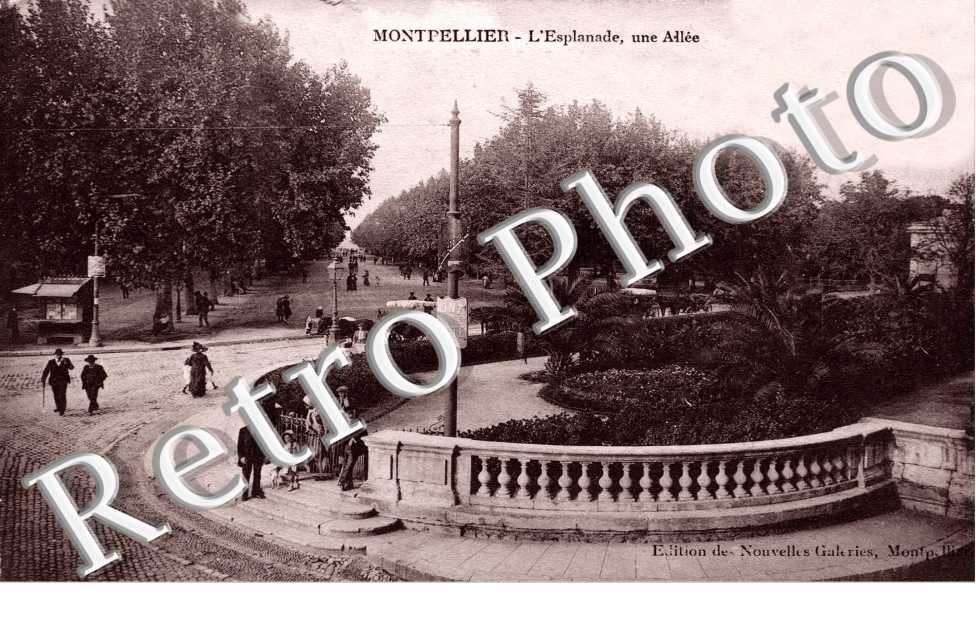 l'Esplanade - une Allee