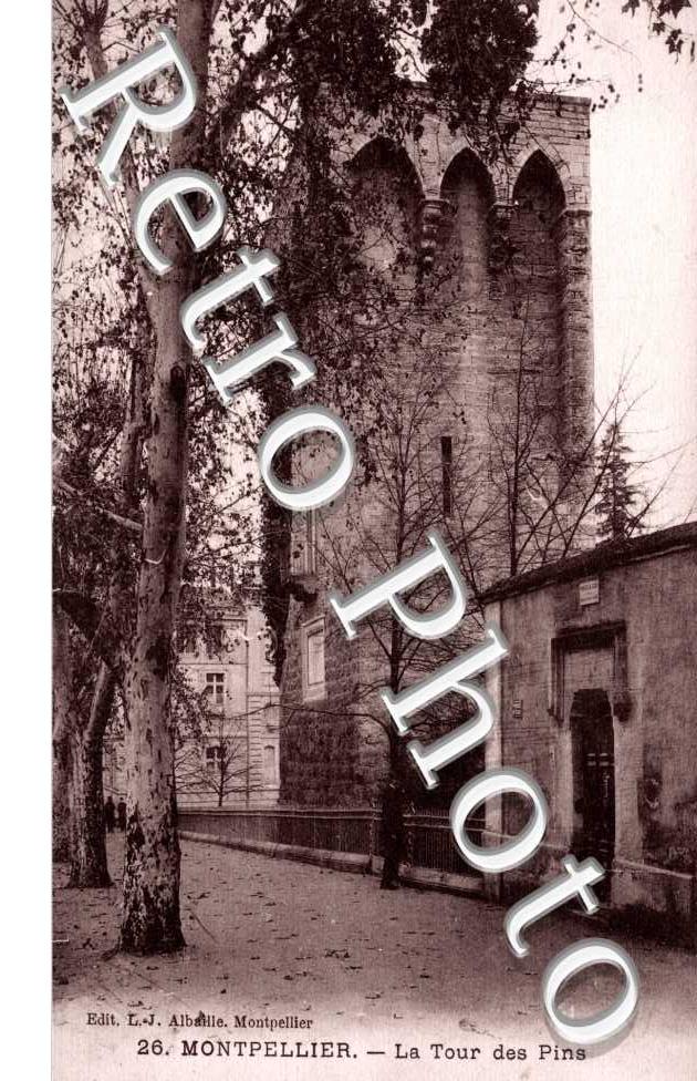 la Tour des Pins