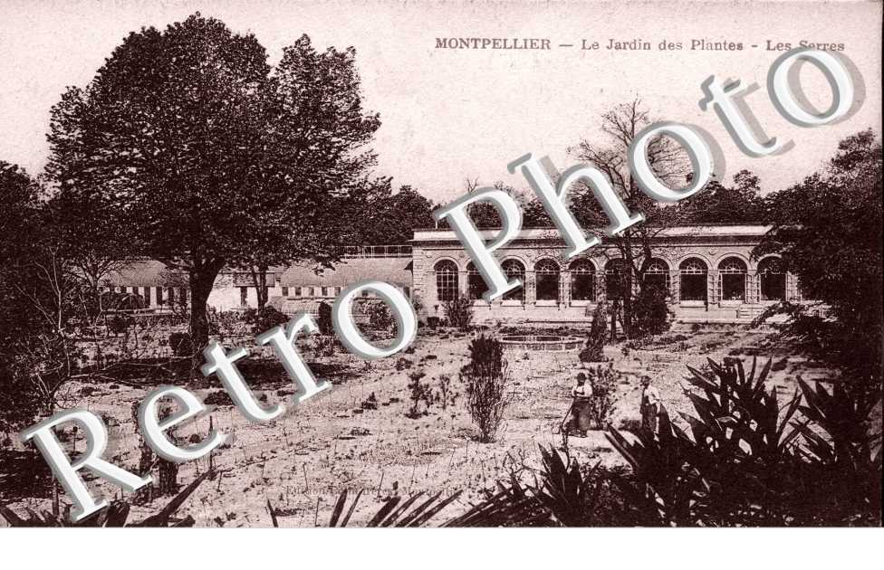 Jardin des Plantes - les Serres