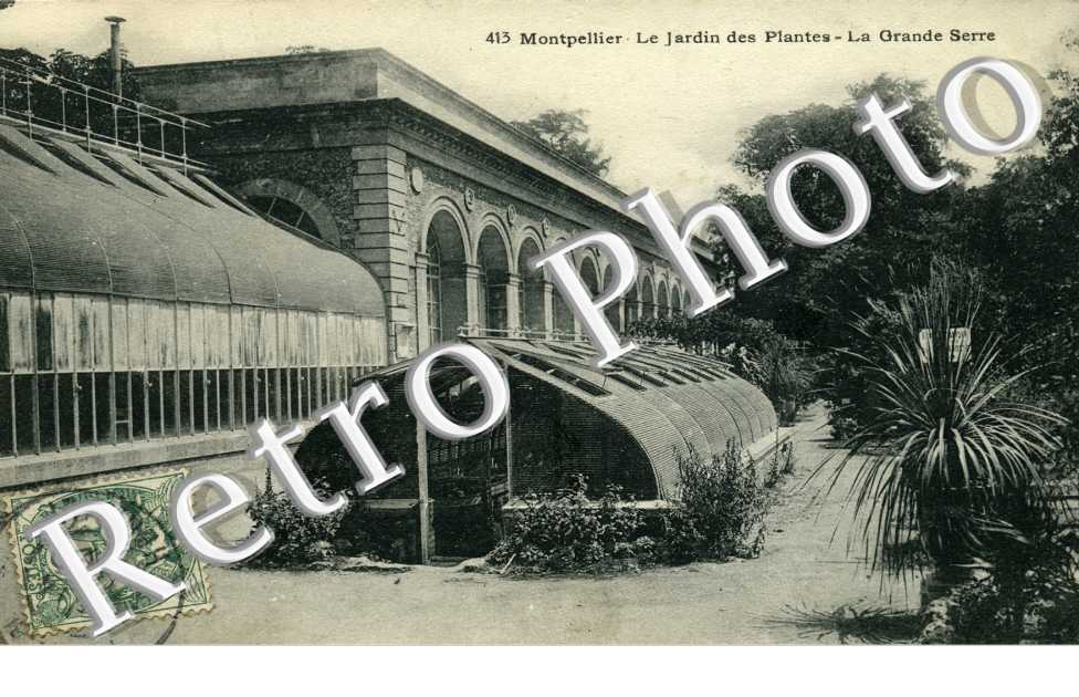 le Jardin des Plantes - la grande serre