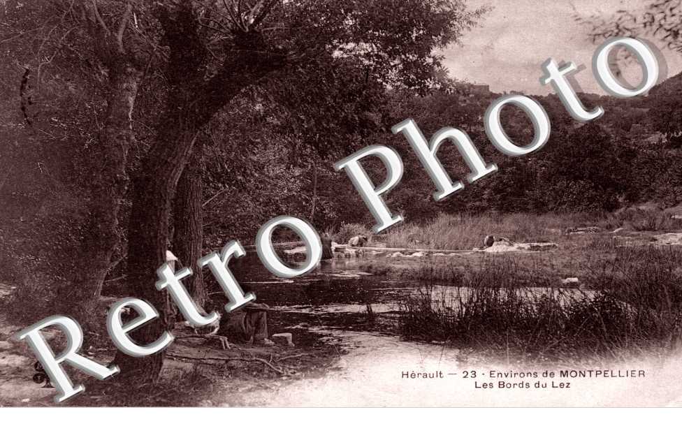 les Bords du Lez