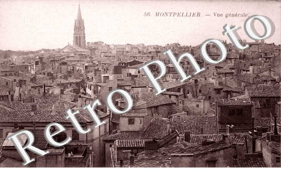 Vue generale
