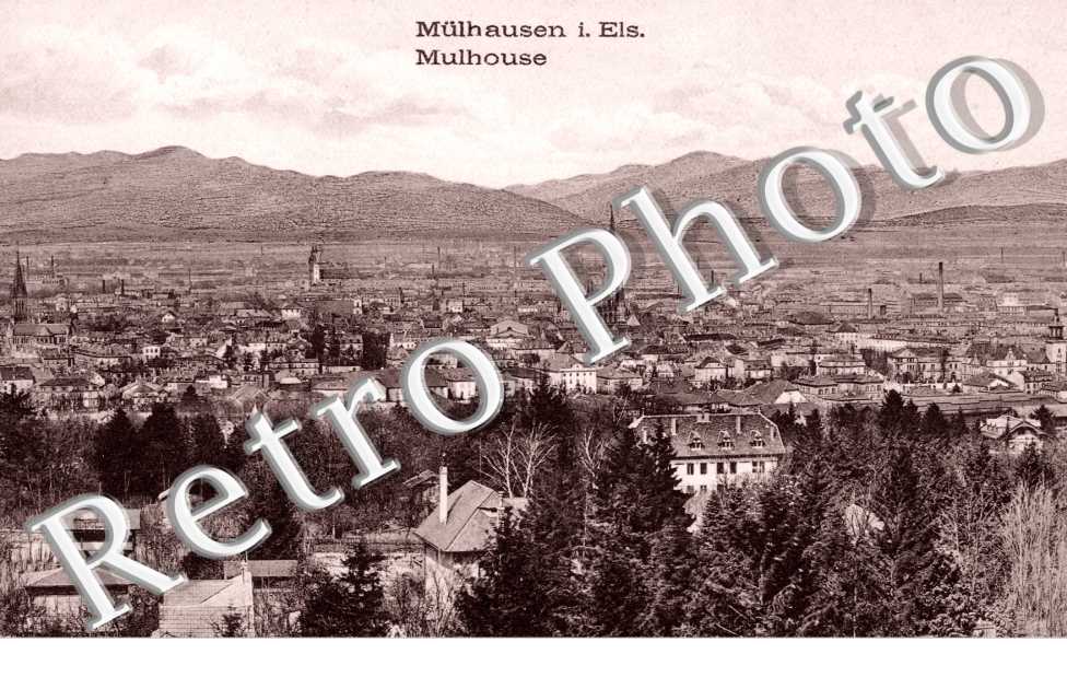 Vue d'Ensemble