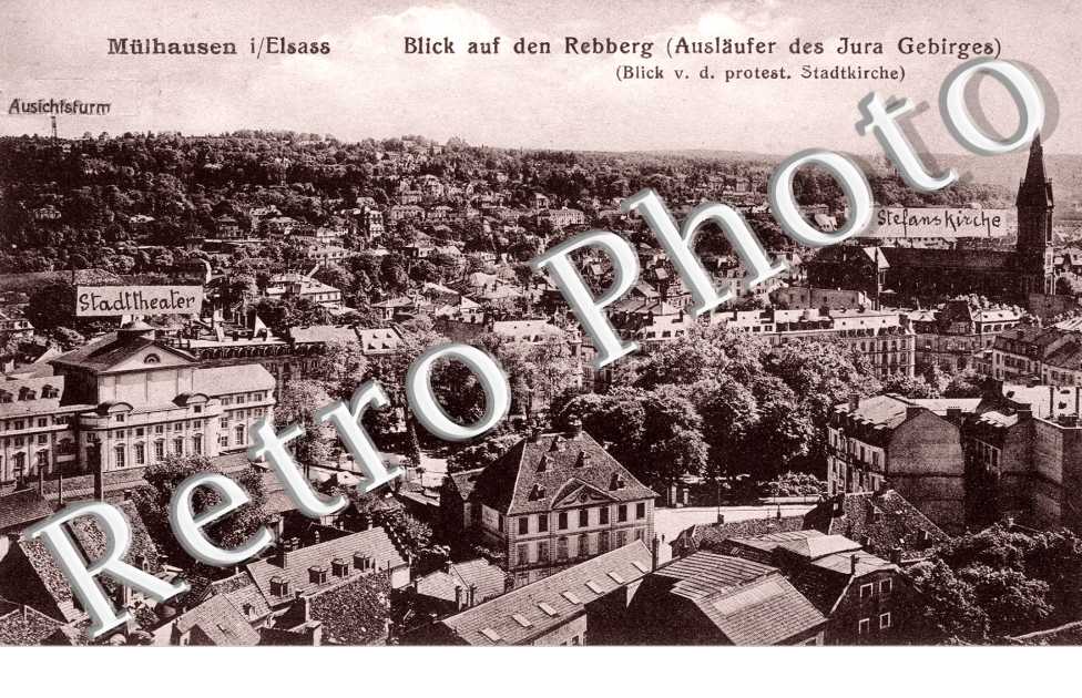 Blick auf den Rebberg