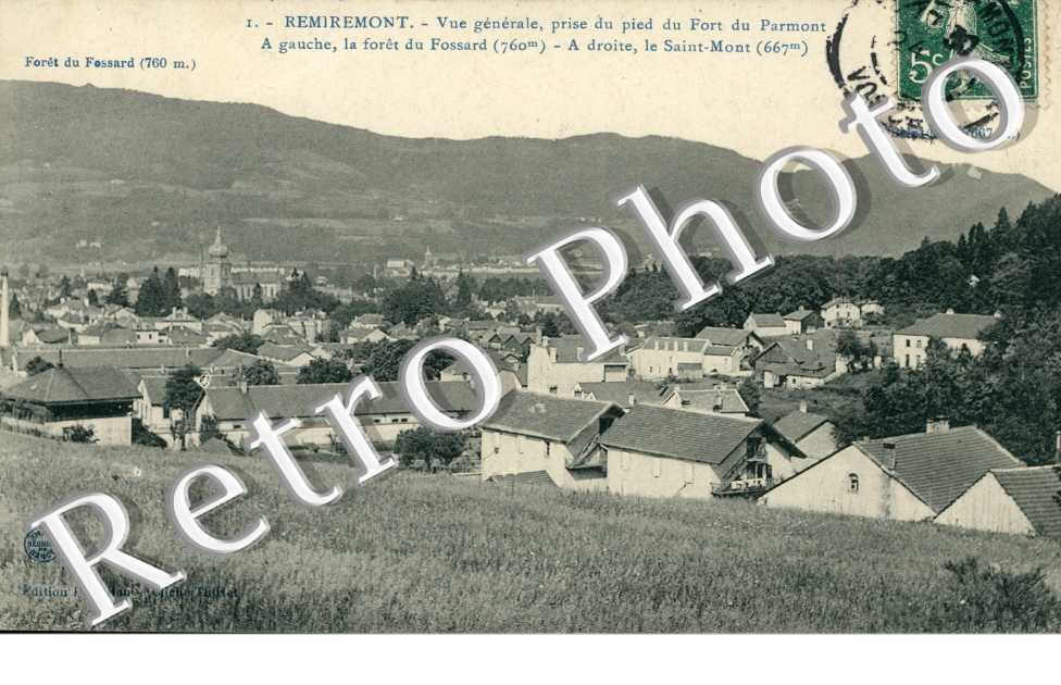 Vue Generale prise du Pied du Fort du Parmont, la Foret du Fossard et le Saint-Mont