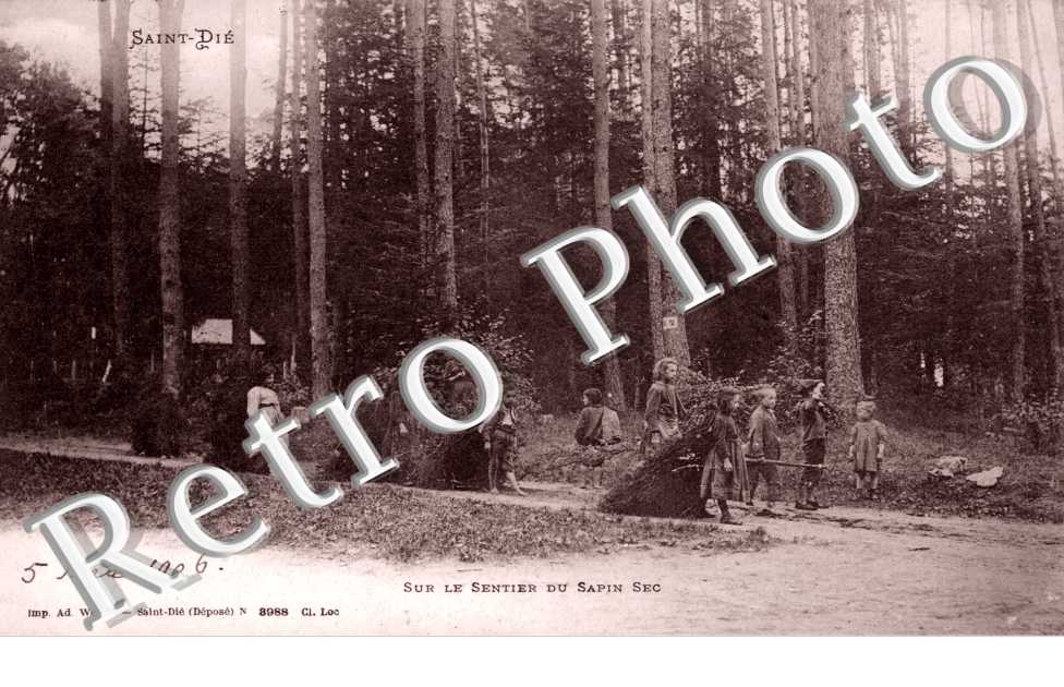 Sur le Sentier du Sapin Sec