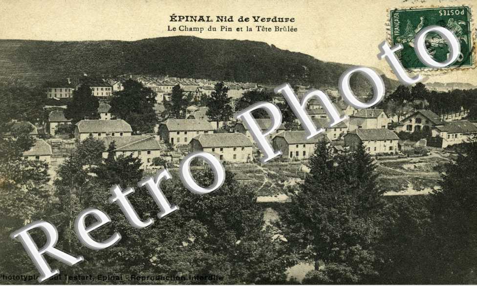 Le Champ du pin et la Tete Brulee