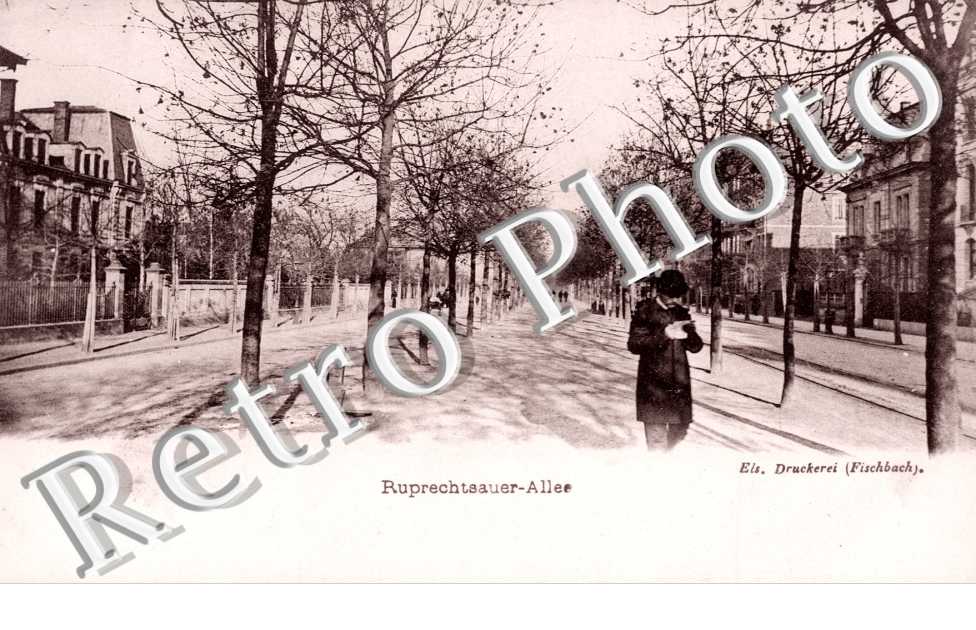 Ruprechtsauer Allee