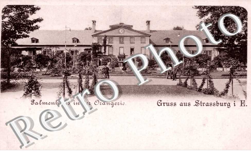 Palmenhaus in der Orangerie, Gruss aus Strassburg