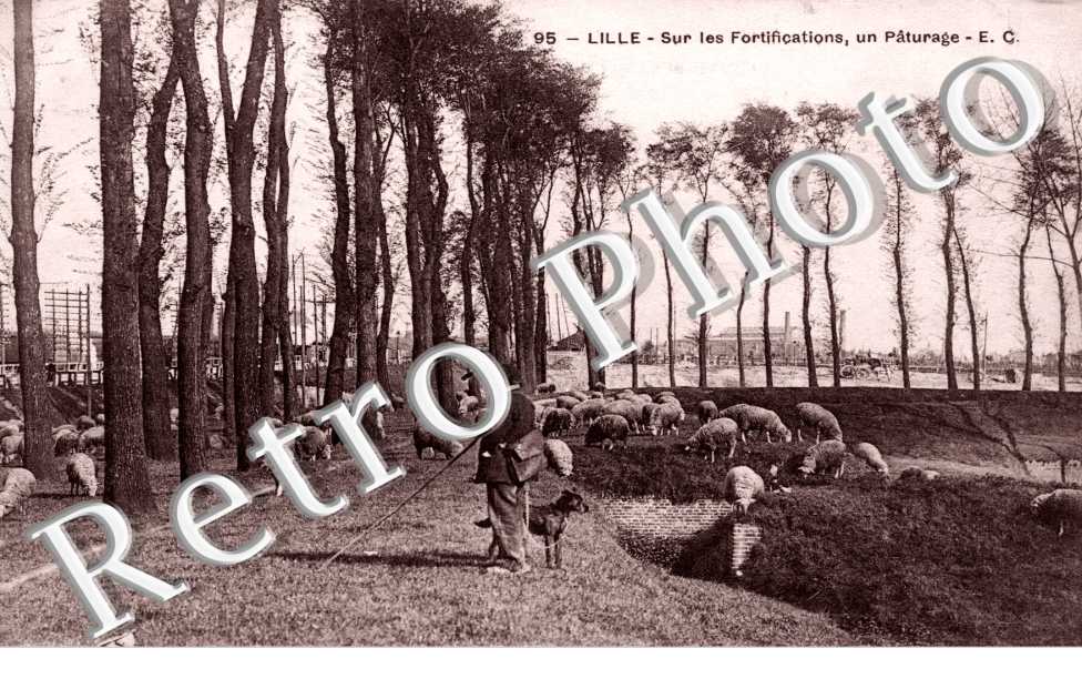 sur les fortifications, un paturage