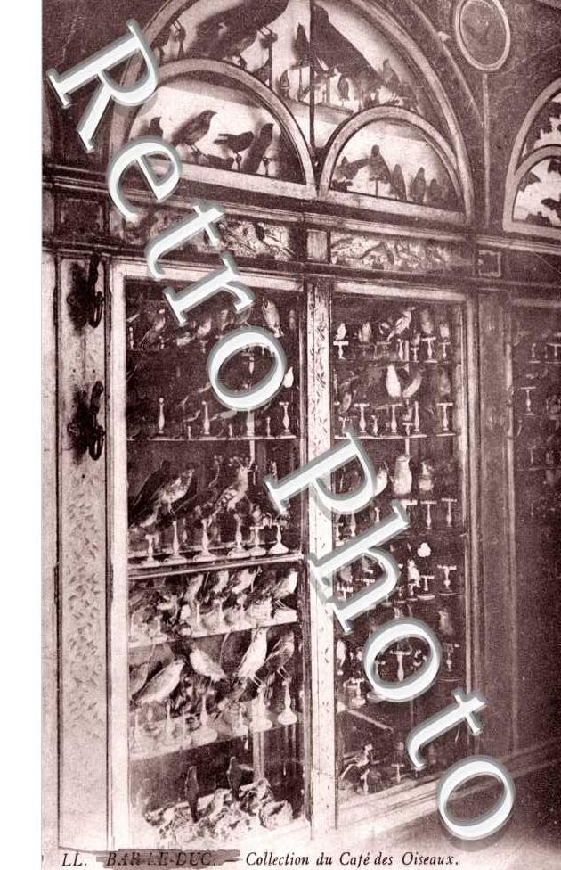 Collection du Cafe des Oiseaux