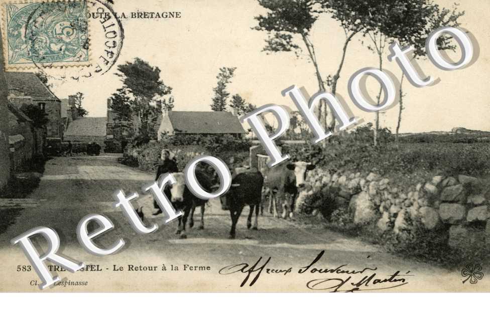 le retour a la ferme
