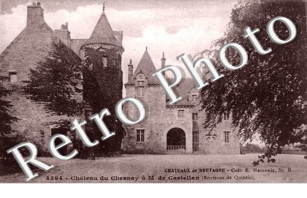 Chateau de Chesnay