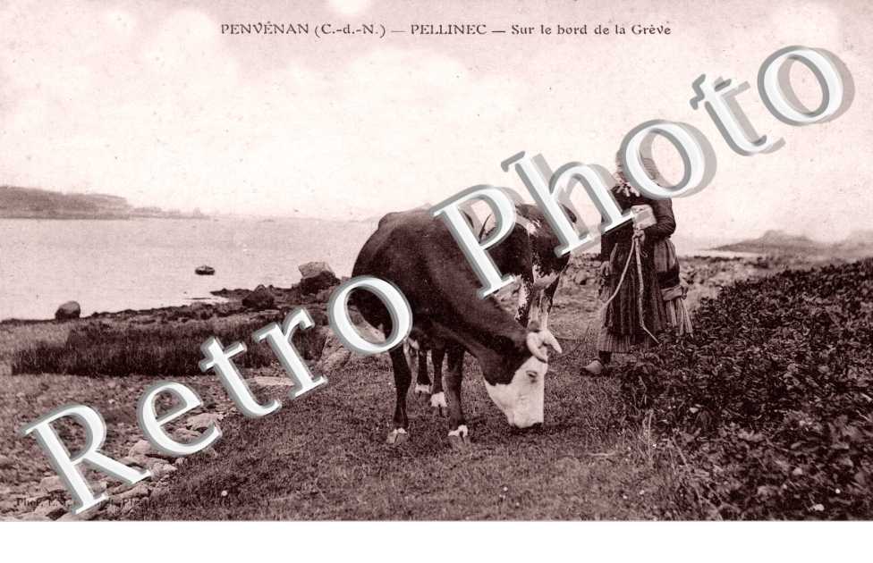 Pellinec - sur le bord de la Greve