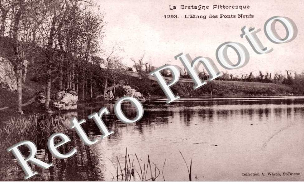 Les Ponts Neufs, l'Etang
