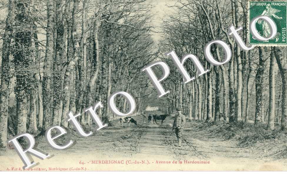 Avenue de la Hardouinaie