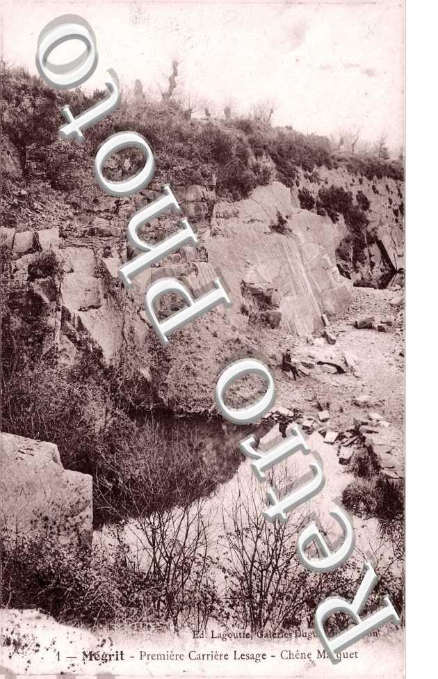 Premiere Carriere Lesage - Chene marquet