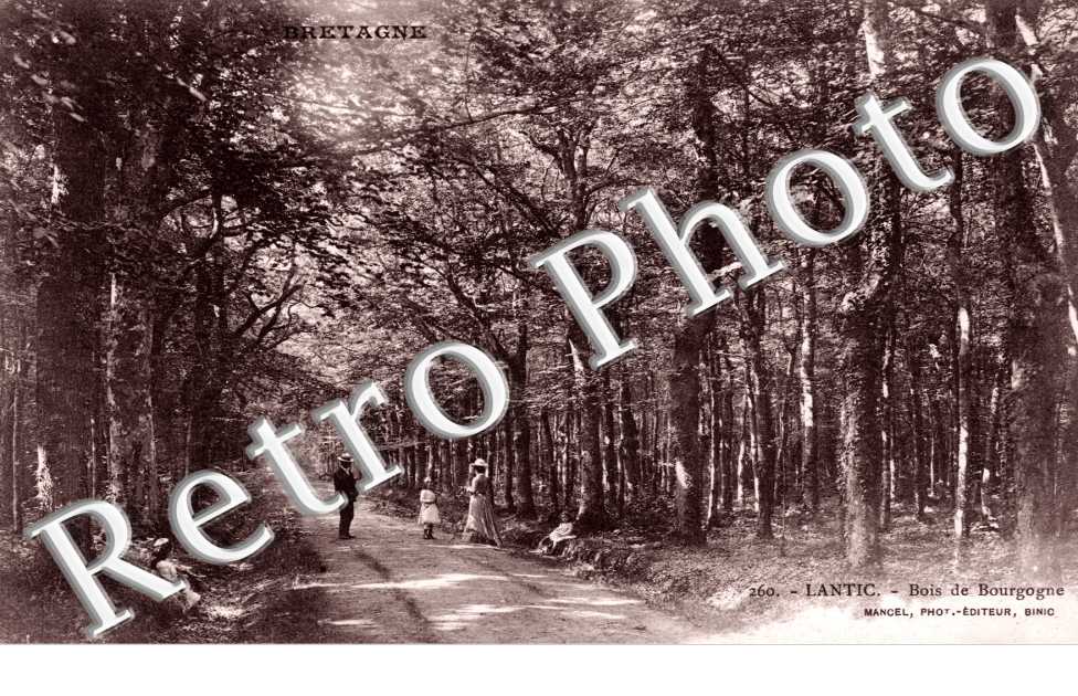 bois de Bourgogne