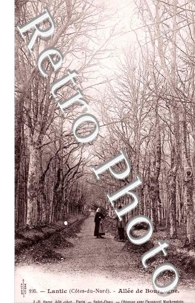 Allee de Bourgogne
