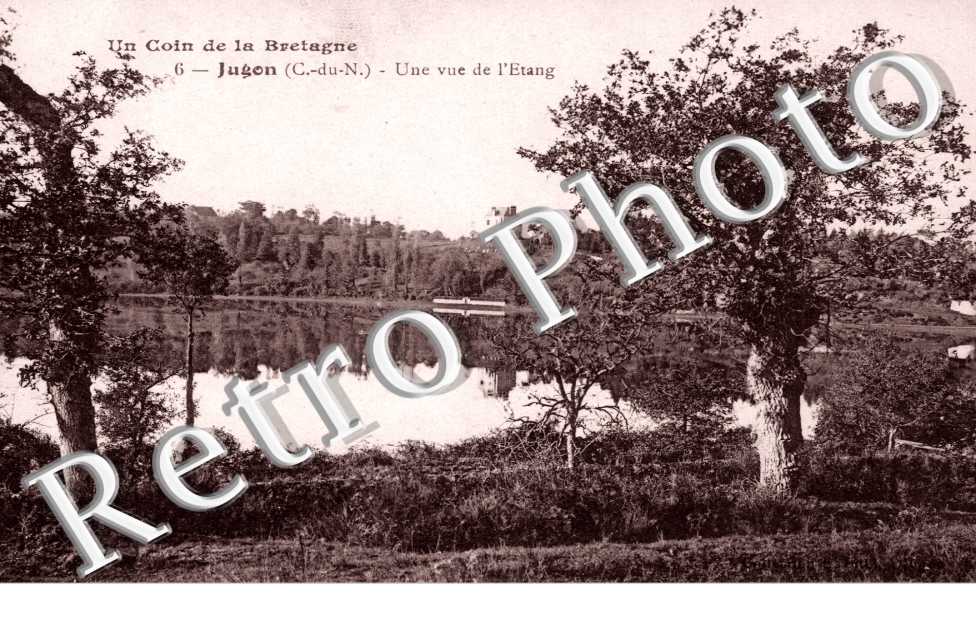 Une Vue de l'Etang