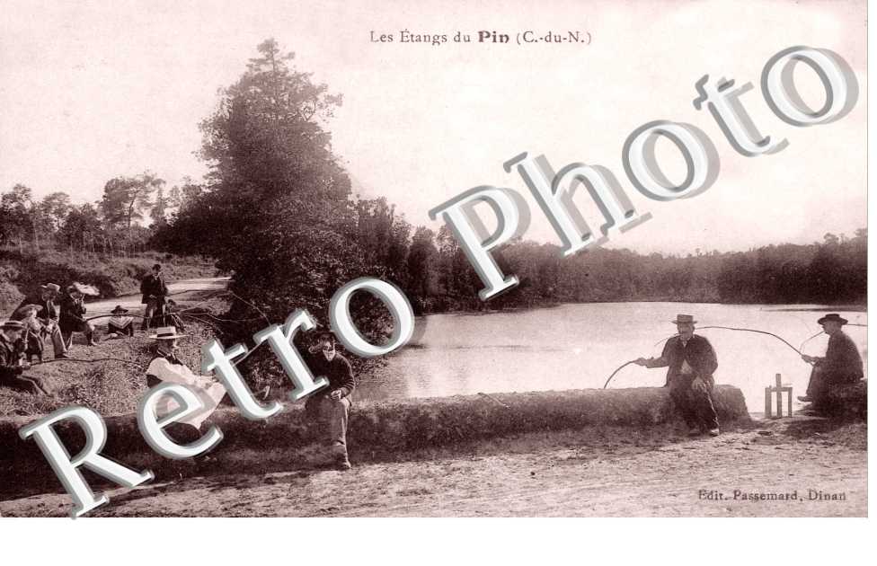 Les Etangs du Pin